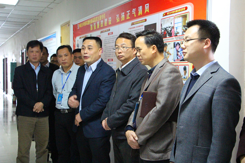 百乐森林舞会(中国游)官方网站