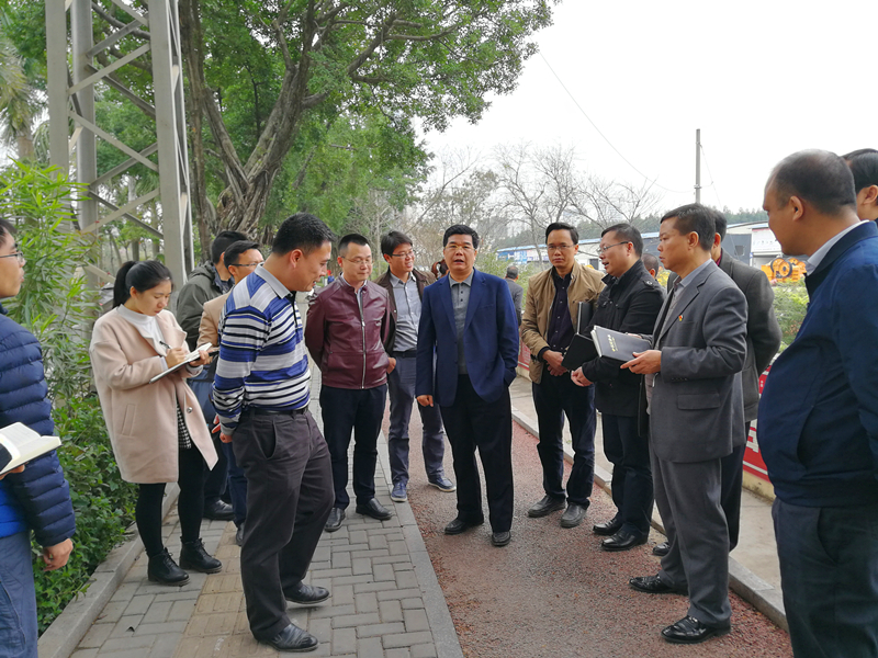 百乐森林舞会(中国游)官方网站