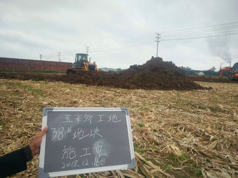 百乐森林舞会(中国游)官方网站