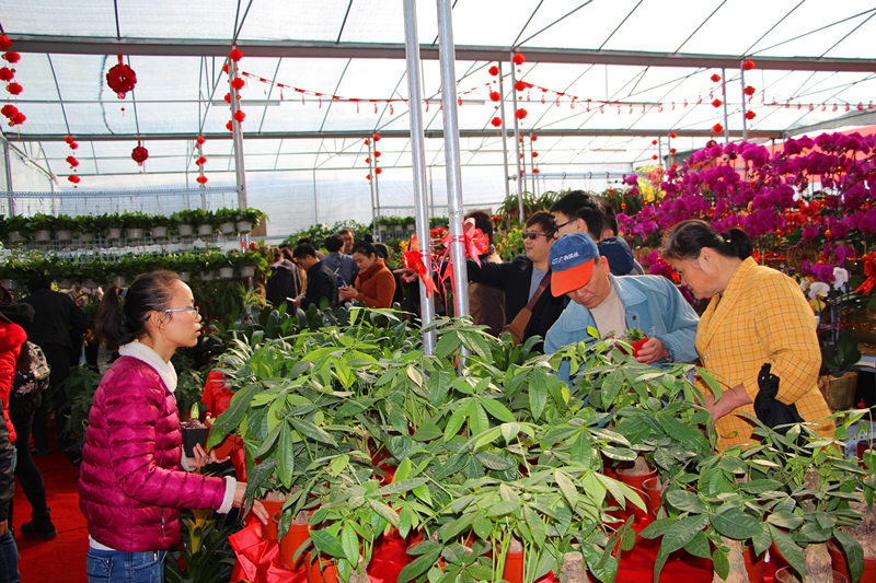 百乐森林舞会(中国游)官方网站