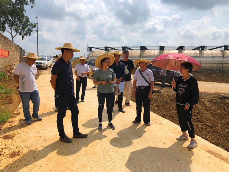 百乐森林舞会(中国游)官方网站
