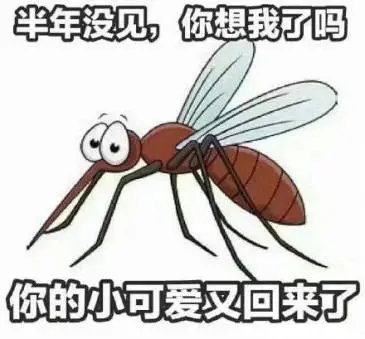 百乐森林舞会(中国游)官方网站