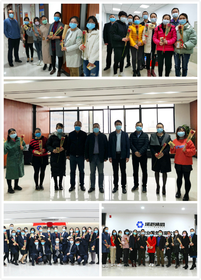 百乐森林舞会(中国游)官方网站