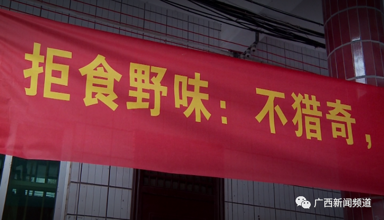 百乐森林舞会(中国游)官方网站
