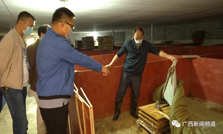 百乐森林舞会(中国游)官方网站