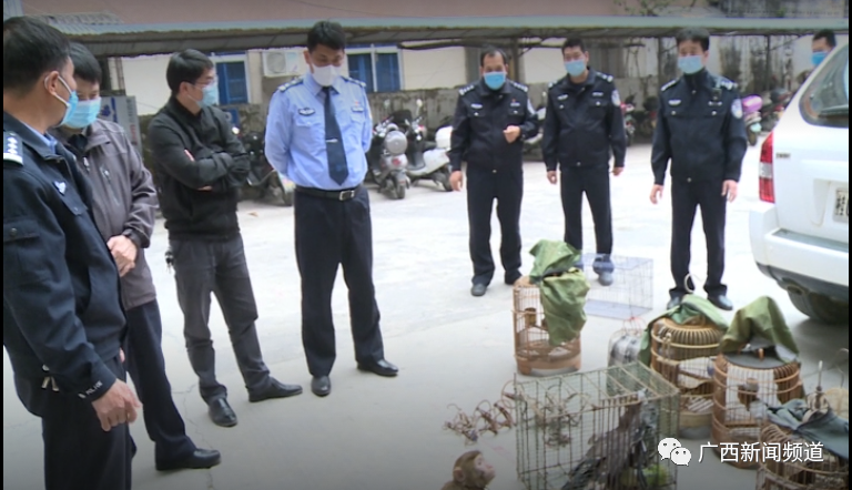 百乐森林舞会(中国游)官方网站