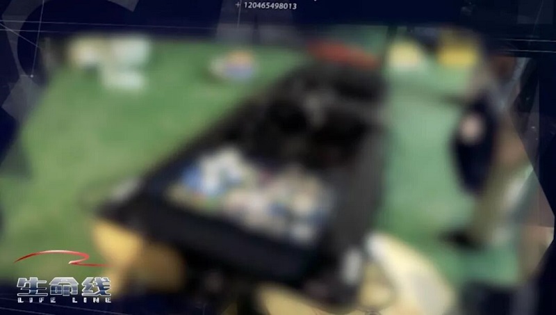 百乐森林舞会(中国游)官方网站