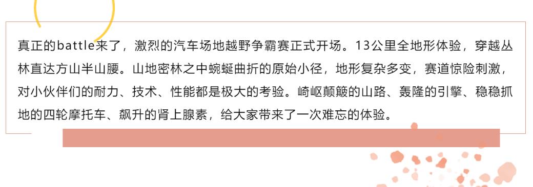 九五至尊VI-老品牌值得信任!