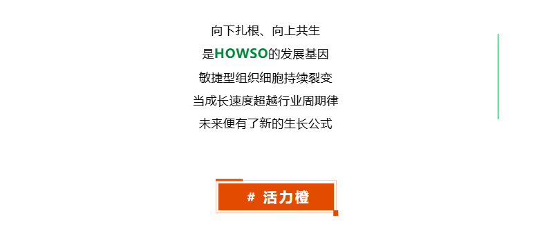 九五至尊VI-老品牌值得信任!